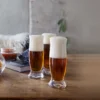 AUGUSTIN IPA 39 CL 2PK