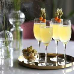 FINN CHAMPAGNEGLASS 24 CL