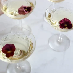FINN CHAMPAGNESKÅL 18 CL