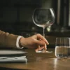 ICON VINGLASS BURGUNDY CLASSIC