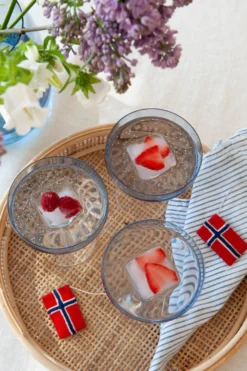 ODYSSÉ CAVASKÅL 25CL 4PK BLÅ