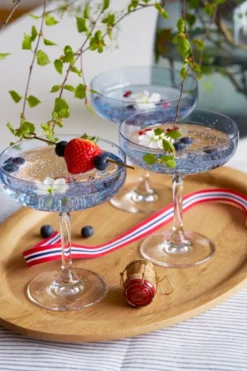ODYSSÉ CAVASKÅL 25CL 8PK FARGERIK