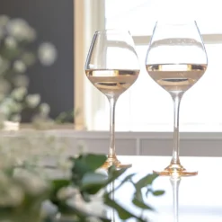 ODYSSÉ ROSÉVINGLASS 50CL 2PK