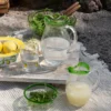 SOMMERENG MUGGE 2L